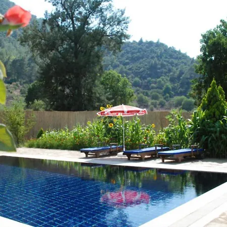 Ilgaz * Fethiye